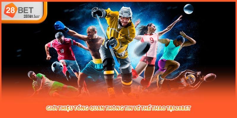 Giới thiệu tổng quan thông tin về Thể thao tại 28BET