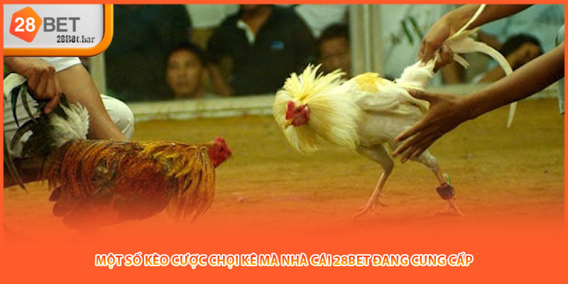 Một số kèo cược chọi kê mà nhà cái 28BET đang cung cấp