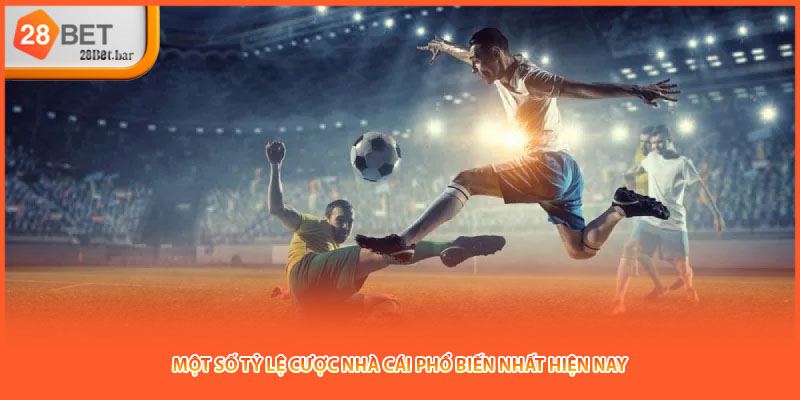 Một số tỷ lệ cược nhà cái phổ biến nhất hiện nay