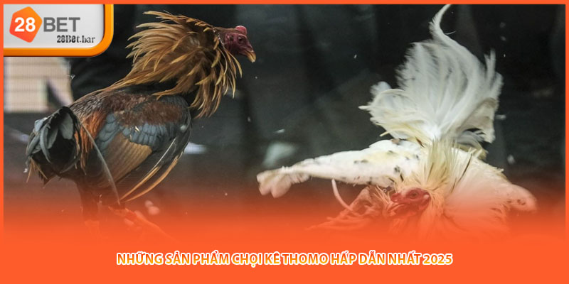 Những sản phẩm chọi kê Thomo hấp dẫn nhất 2025